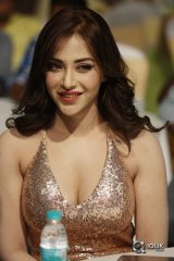 Rogue Movie Audio Launch